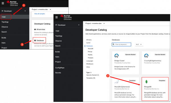 The Web Console’s Developer Catalog lists database templates available for installation.