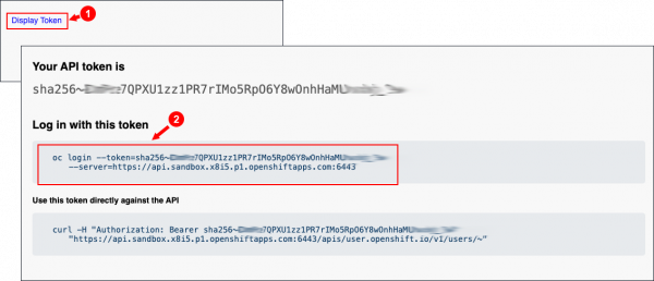 Clicking Display Token displays a page with login credentials.