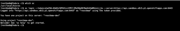 With your login token, use the oc CLI tool to access the remote Developer Sandbox from your local machine.